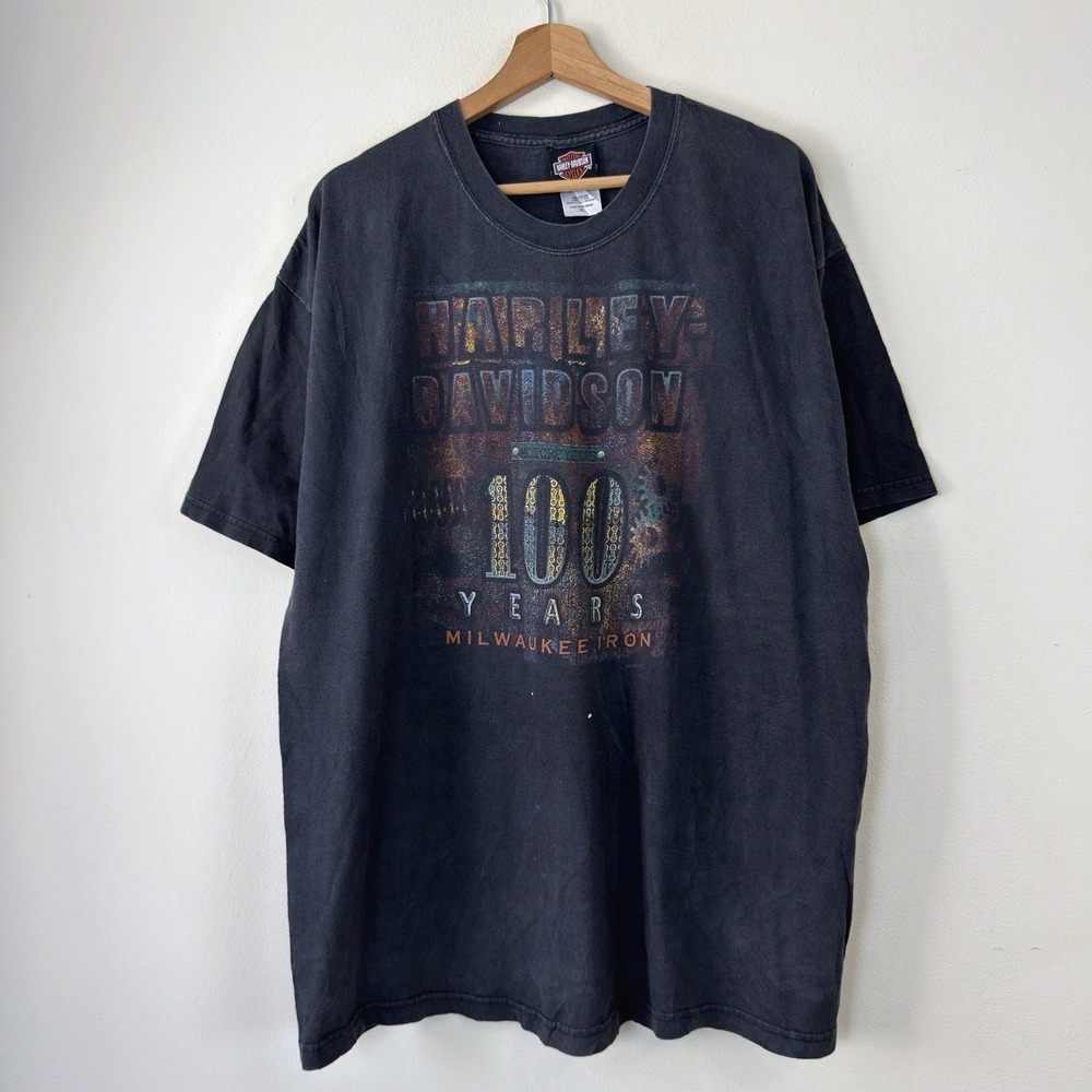 Vintage Y2k Harley Davidson 100 Years Motorcycle Black Hills Tee Shirt - XL